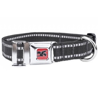 Chrome - Palmer3000 Dog Collar