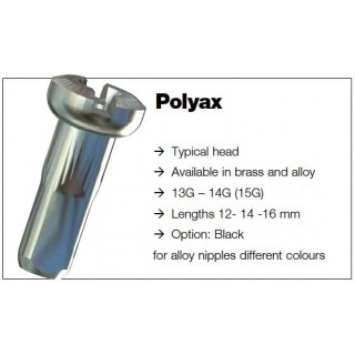 Sapim - Messing Polyax Speichennippel - 2.0