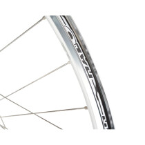 Halo - Retro 6D Rear Wheel Campagnolo