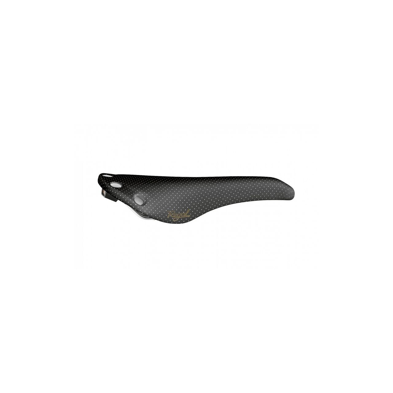Selle San Marco Regal Short, la evolución del mítico sillín considerado