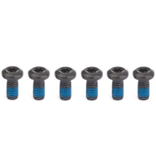 Avid - Steel Bolts for Disc