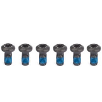 Avid - Steel Bolts for Disc