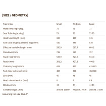 SimWorks - RAL Exposure Trail Commuting Rahmenset - Grey Card
