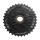 Sunrace - MFM300 Freewheel - 7-speed