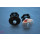 Goldsprint - Ahead Star Nut + Top Cap - 1 1/8" black