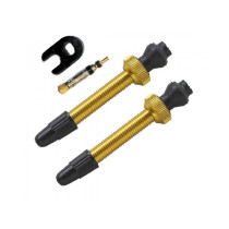 Barbieri - Aluminium Tubeless Valve - 45 mm black