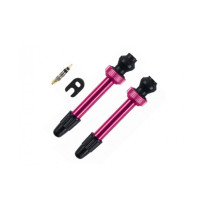 Barbieri - Aluminium Tubeless Valve - 45 mm titanium grey