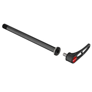 DT Swiss - RWS Steckachse mit Hebel 12 x 142 mm / M12 x 1,5 - Hinterrad