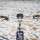 Velo Orange - Crazy Bar Handlebar - 31,8 mm