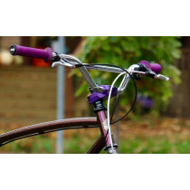 Wilde - Moto Cruiser Bar Lenker - 22,2 mm