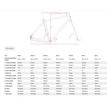 Salsa - Warbird Carbon Frameset