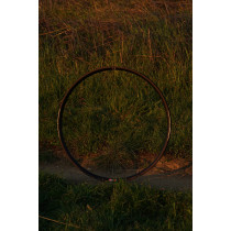 White Industries - G25A Felge - 650b