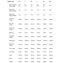 Fyxation - Quiver Frameset - black M