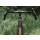 Beast - Carbon Gravel Bar black - UD Finish