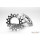 Kappstein - Stainless Sprocket - 1/8" silber 14