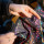 Wizard Works - Alakazam 139 Basket Bag Korbtasche