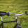 Velo Orange - Seine Bar Lenker - 31.8 mm silber