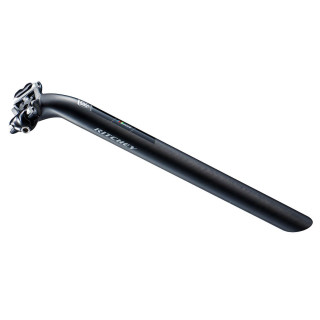 Ritchey - WCS Carbon 1-Bolt Sattelstütze - 25 mm Offset