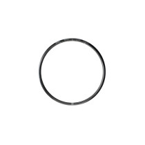 Beast - TR30 - MTB Carbon Rim - 29" / 700c