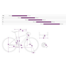 Liv - Langma Advanced 1+ Disc Complete Bike - Cold Iron