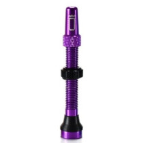 Goldsprint  - Tubeless Valve - 44mm
