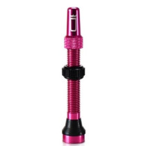 Goldsprint  - Tubeless Valve - 44mm