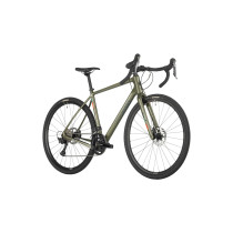 Salsa - Warbird Carbon GRX 810 2x Gravel Complete Bike - Olive