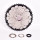 Sunshine - MTB Light Kassette Alu Spider Shimano HG 11-50 Zähne - 12-fach // SALE