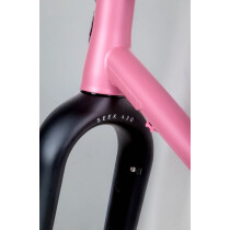 Curve Cycling - GMX+ Steel Rahmenset - Pink Roadhouse