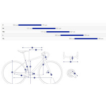 Giant - Defy Advanced 2 Komplettrad Shimano 105 2x12 - Bay Leaf (2024)