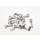 Goldsprint - Aluminium Zugeinstellschraube für Schaltung M5 - Silber (1x Stück)