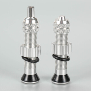 Jones Schrader Tubeles Valve Pair, 29,90 €