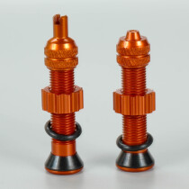 Jones - Schrader Tubeles Valve - Pair