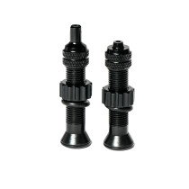 Jones - Schrader Tubeles Valve - Pair