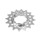 Gusset - Campy SS Cog - Campagnolo Ritzel