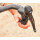 Wolf Tooth - ReMote Drop Bar Remote Lever 24mm - black