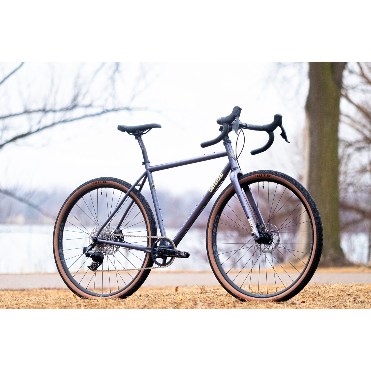 Wilde Rambler Wilde - Rambler SL Gravel Frameset - Disco Moondust, 1.399,90