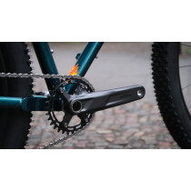 Brother Cycles - Big Bro Komplettrad Shop Build - Swamp...