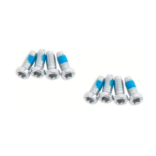 Sram - Spider Torx Befestigungsschrauben T20