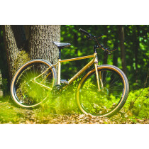 Velo Orange - Chessie Rahmenset - Shoreline Sand