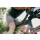 Apidura - Aero Bolt-On Top Tube Modul - 0,8 liters