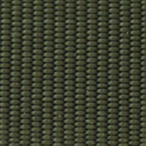 Trim Colour - military green