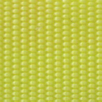 Trim Colour - shocking green yellow