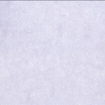 Velcro Colour - white