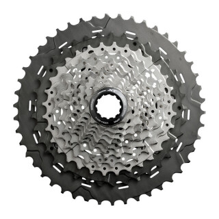 11-46 teeth
