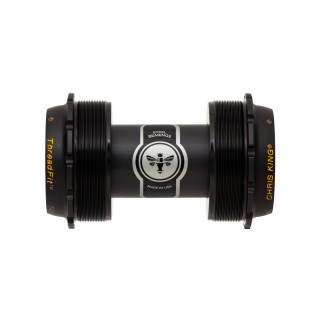 Two Tone Black Gold